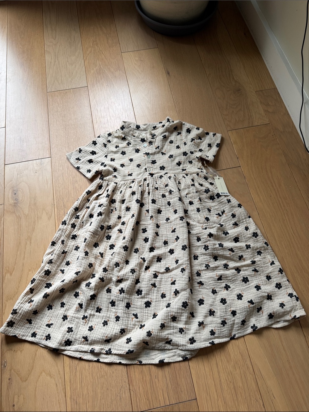 Rylee + Cru Cream Dress with Black Floral Print